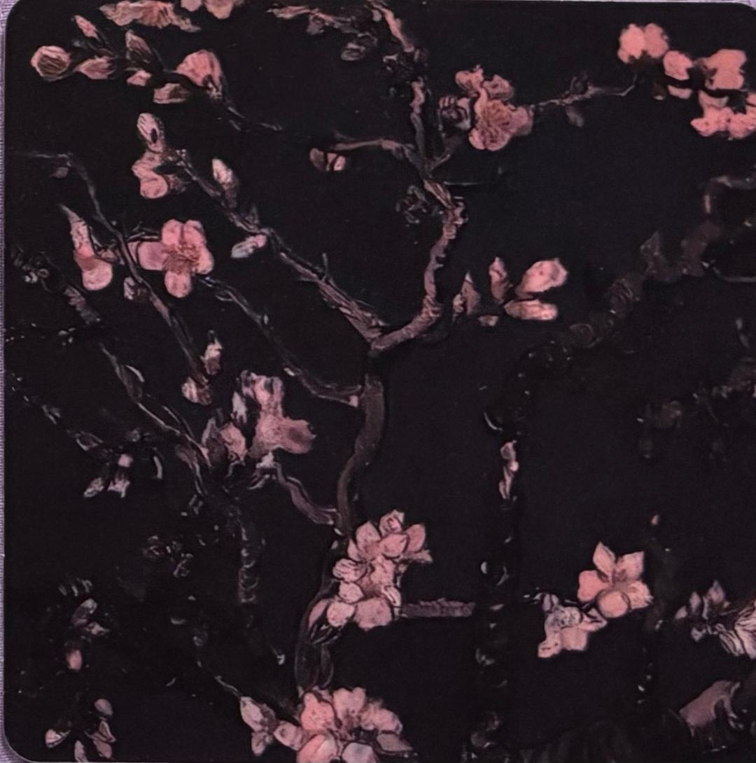 Dual Sided Flora Placemats and Coasters